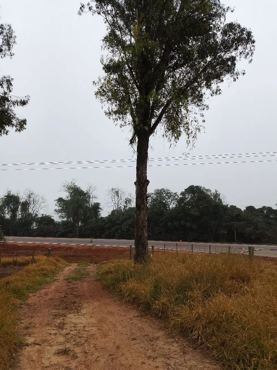 Campo com 14 hectares 