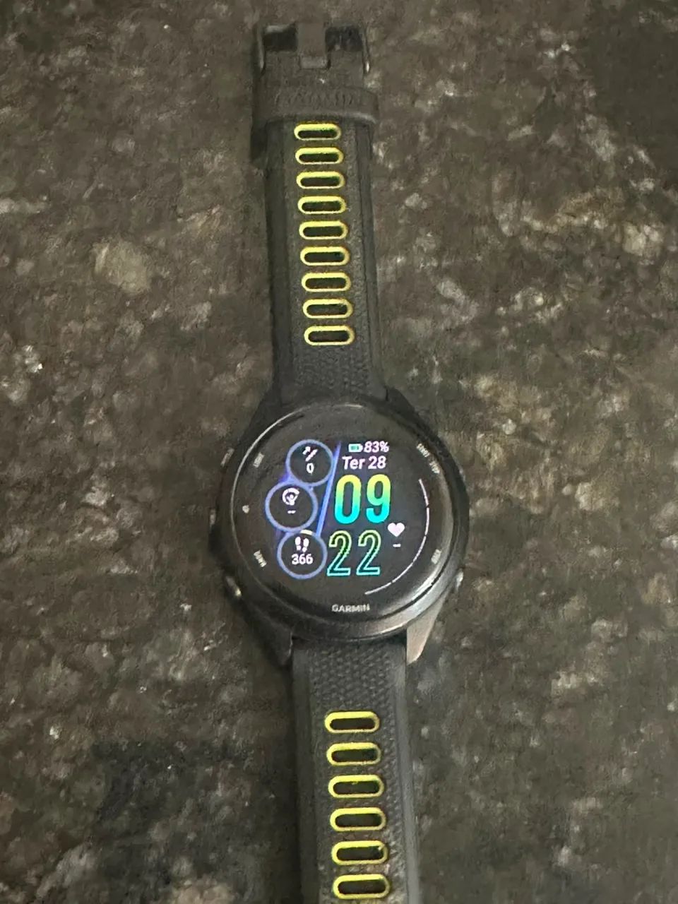 Garmin 265s