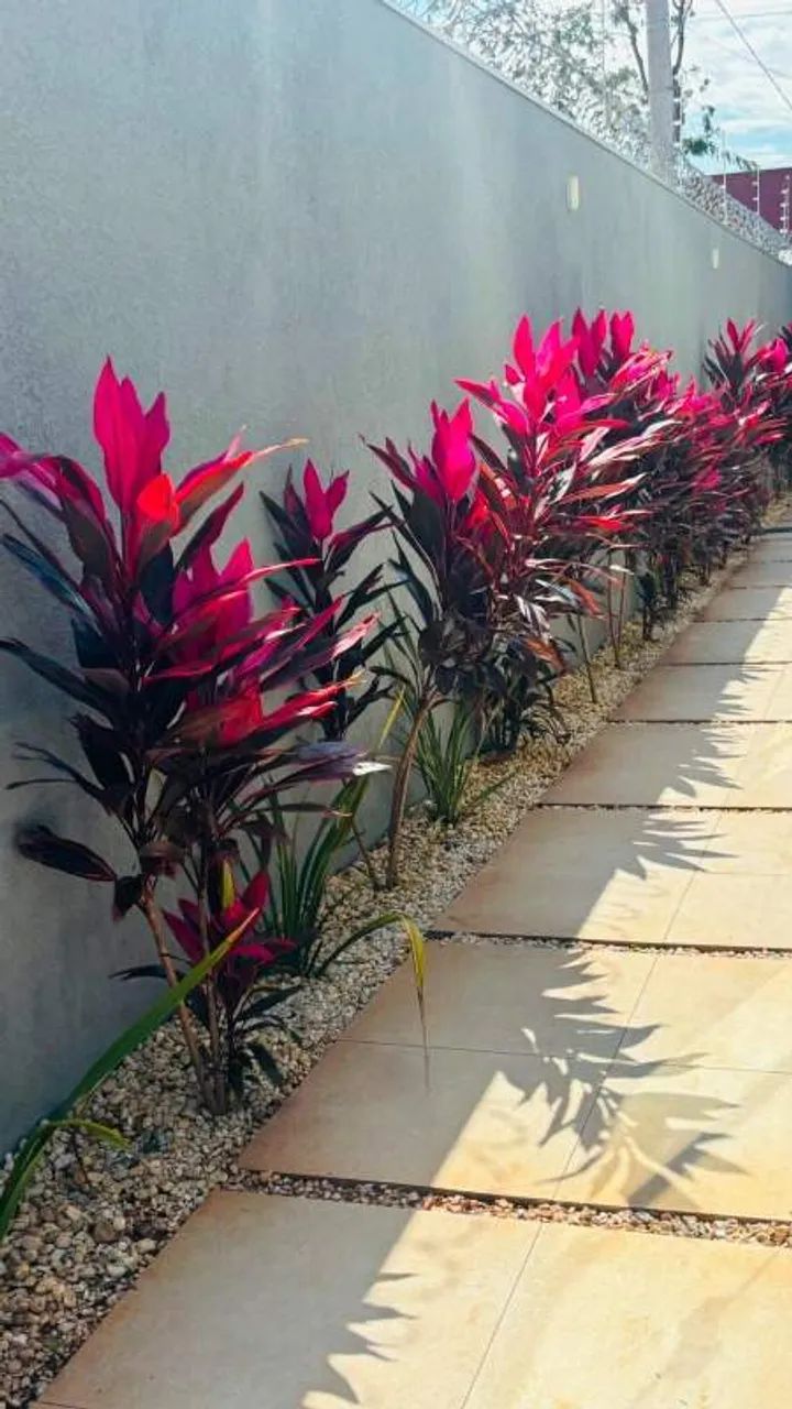 Casa Térrea em Vila Vilas Boas - Campo Grande - Foto 5