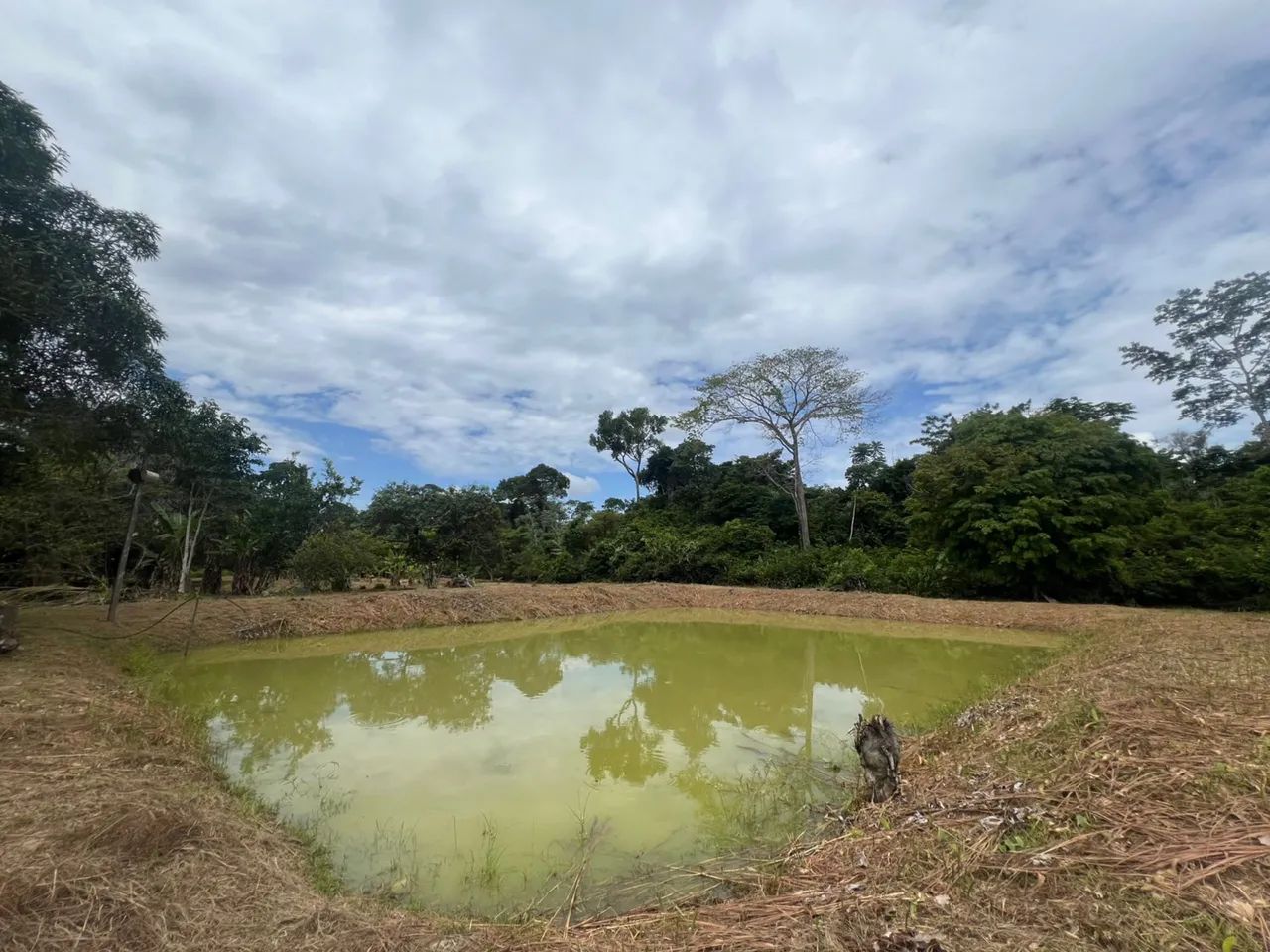 Vende se um sítio na linha do caju - Foto 5