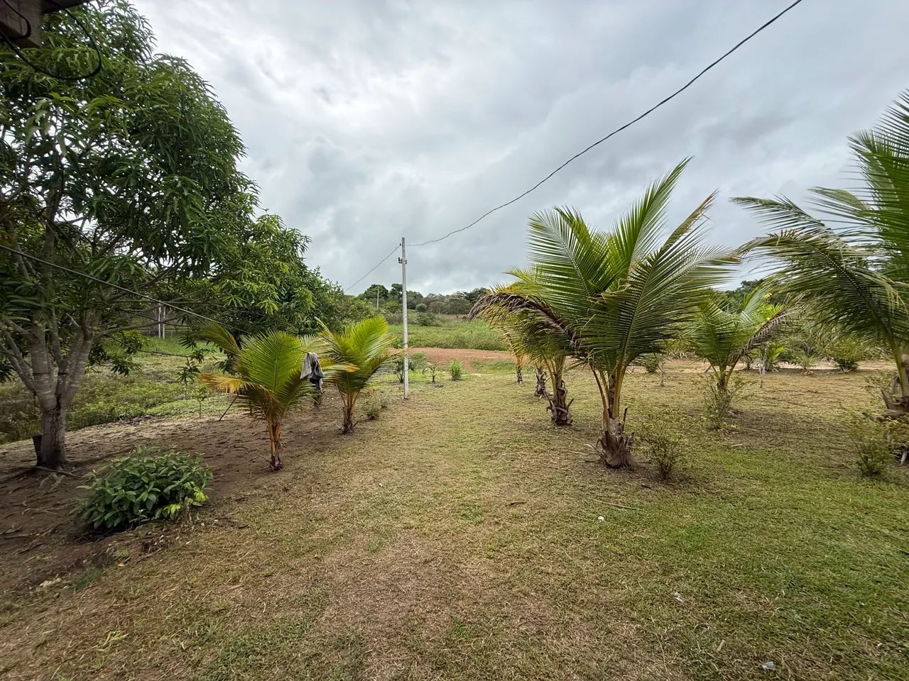 CHÁCARA NO SANTA RITA VENDO OU TROCO ZAP * - Foto 3
