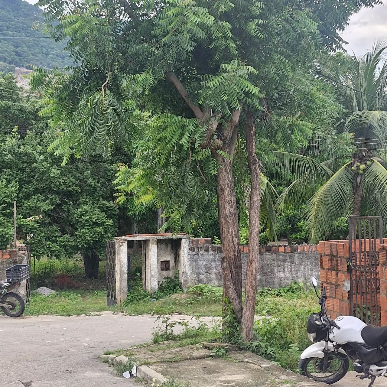 Ótimo terreno na Mucunã,  Maracanaú 