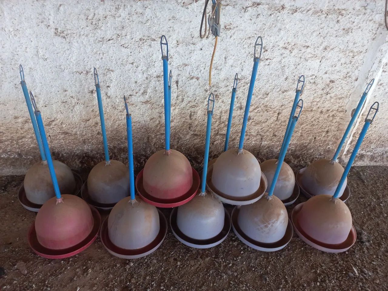 Comedouros e Bebedouros automático!!! - Foto 5