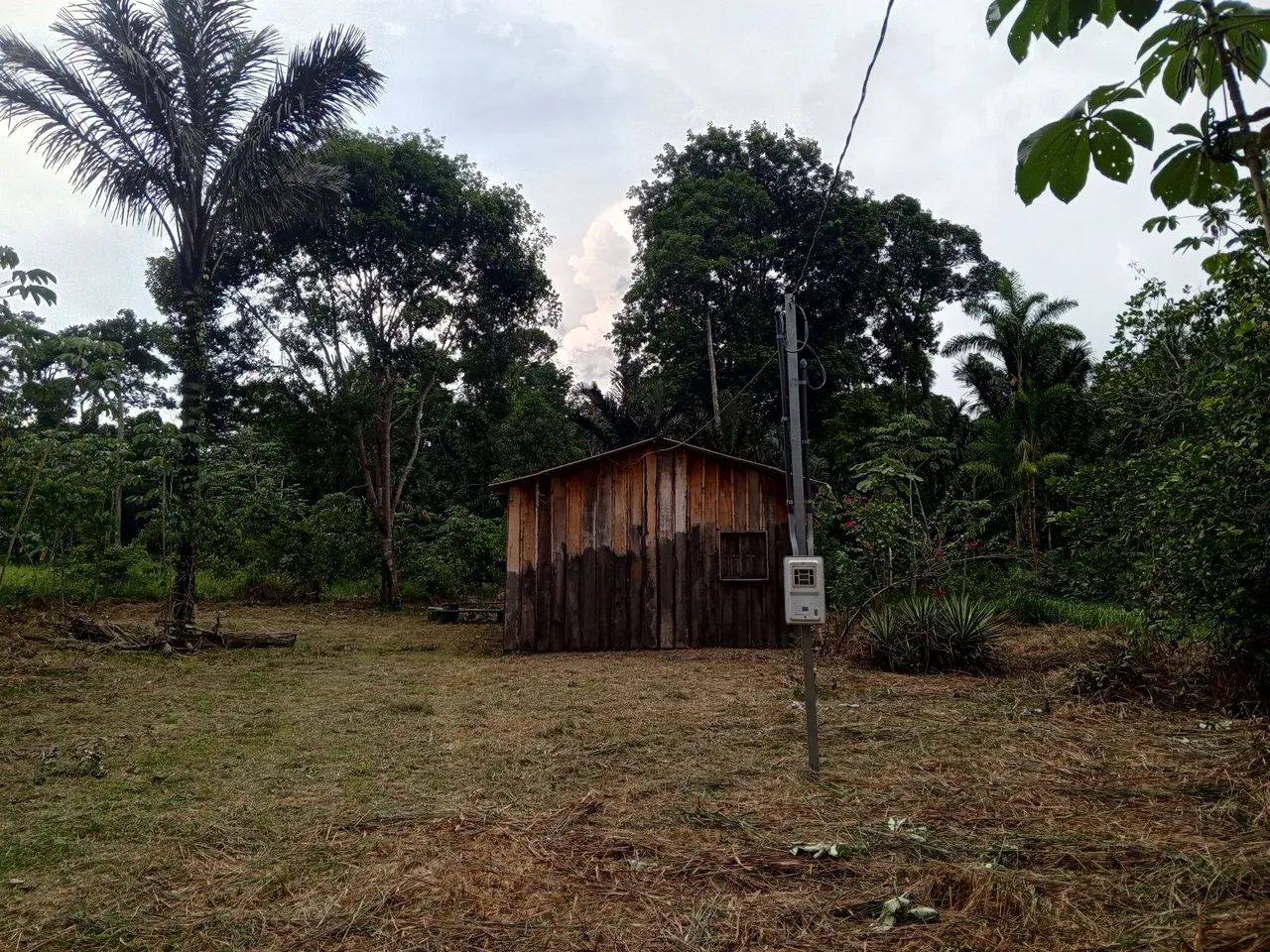 Vendo Ótima Chácara  - Foto 4