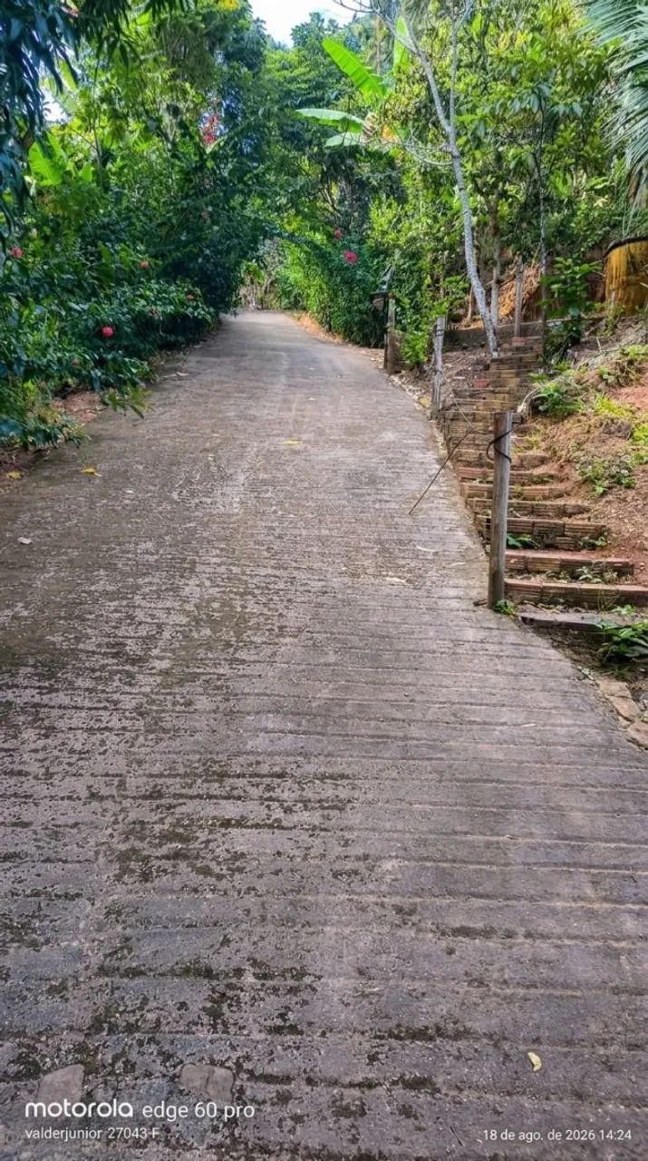SITIO NO MUNICIO DE PACOTY - Foto 4