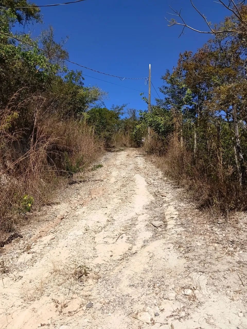 Chácara em Muniz/Caeté - Foto 4