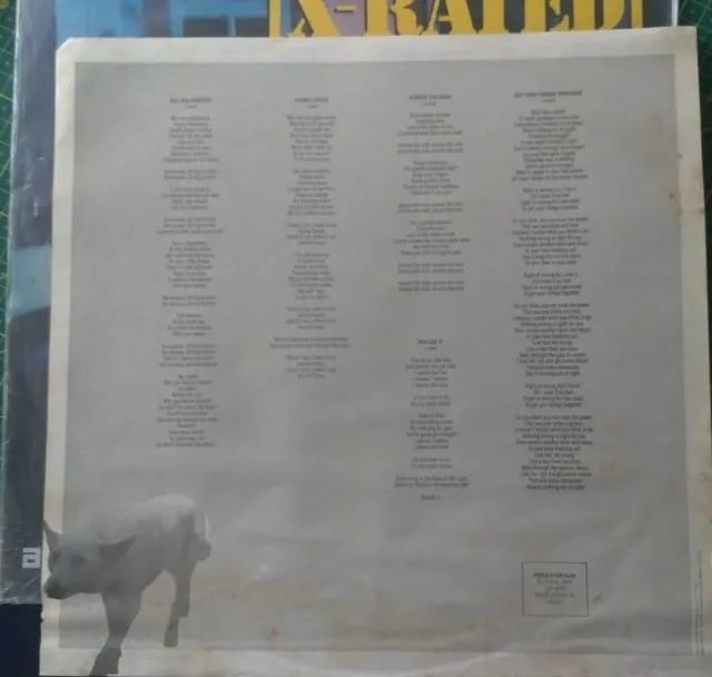 Disco de vinil  X-rated - Foto 4