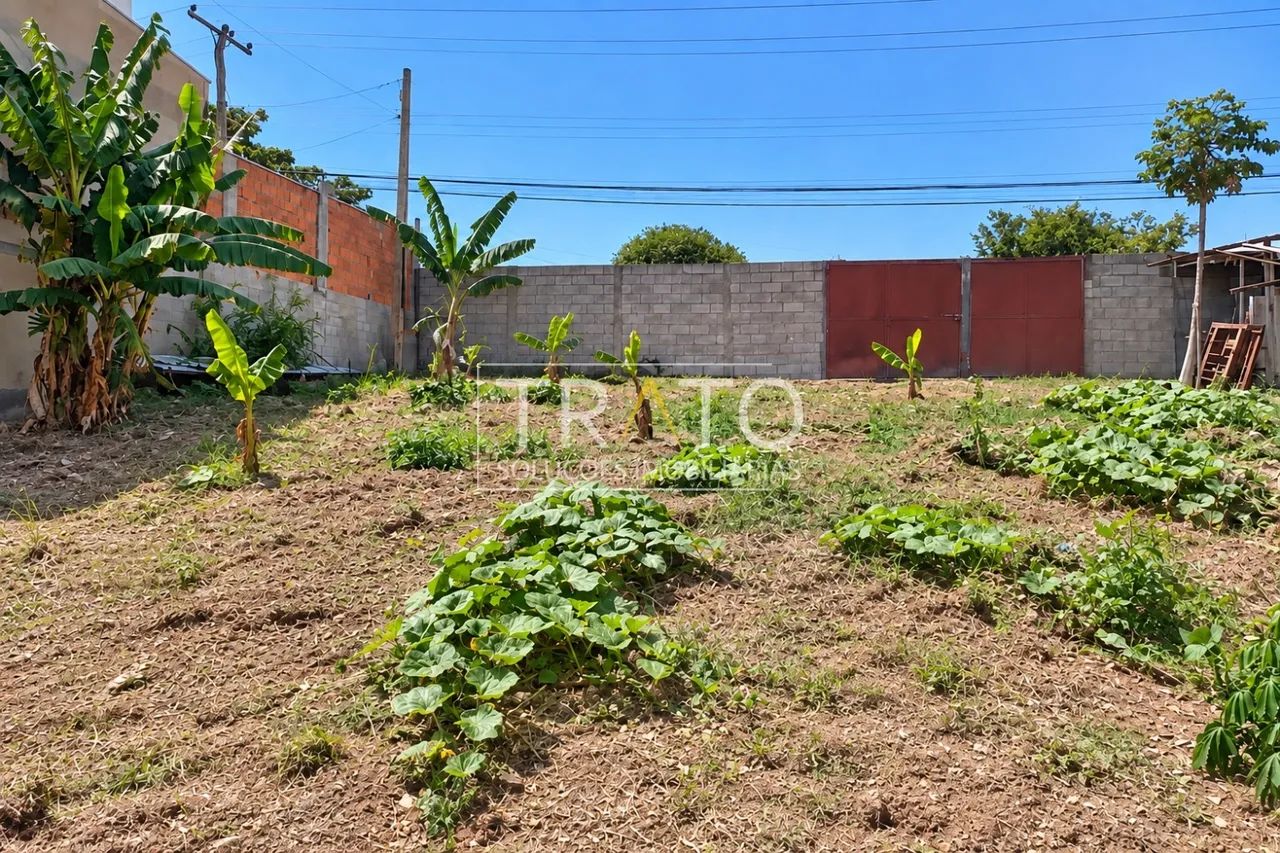 terreno - Jardim Paranapanema - Campinas - Foto 2