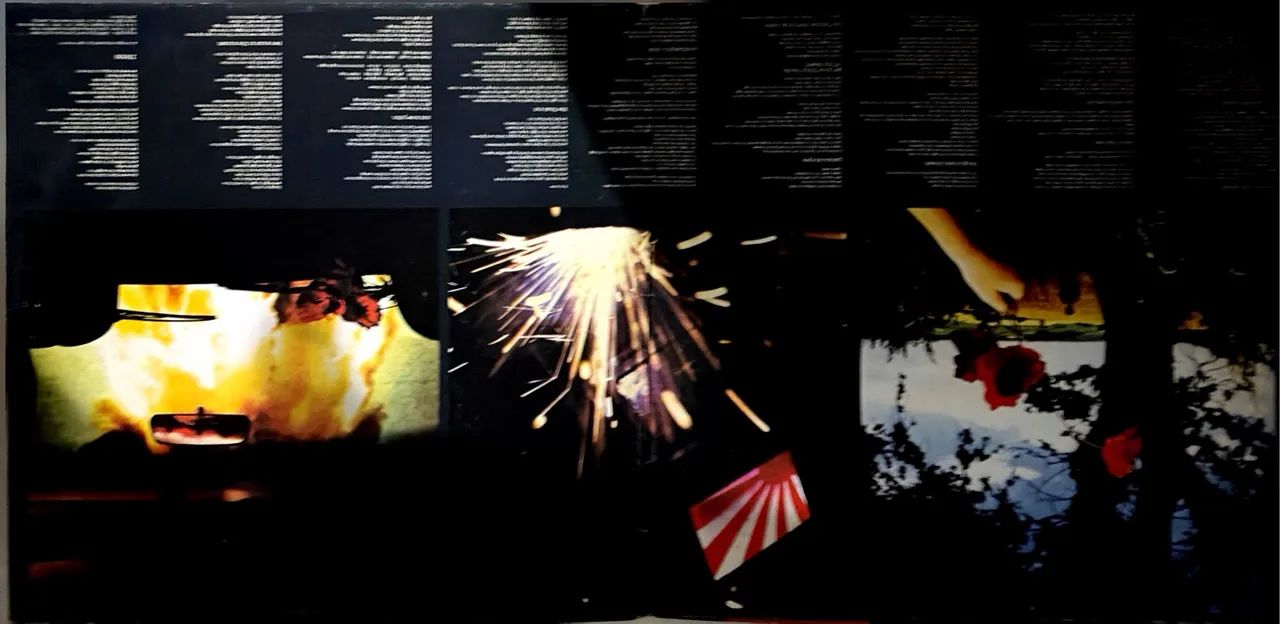 Disco de Vinil  - Foto 3