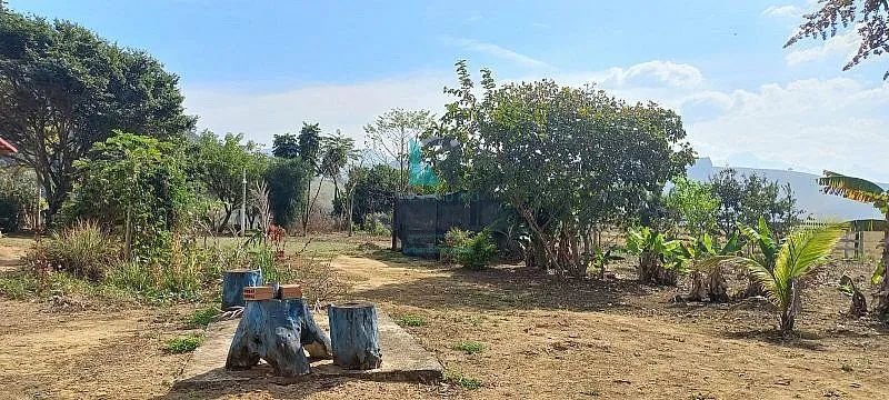 SÍTIO FORMADO COM MANGUEIRO COM FÁCIL ACESSO EM LORENA-SP - Foto 2