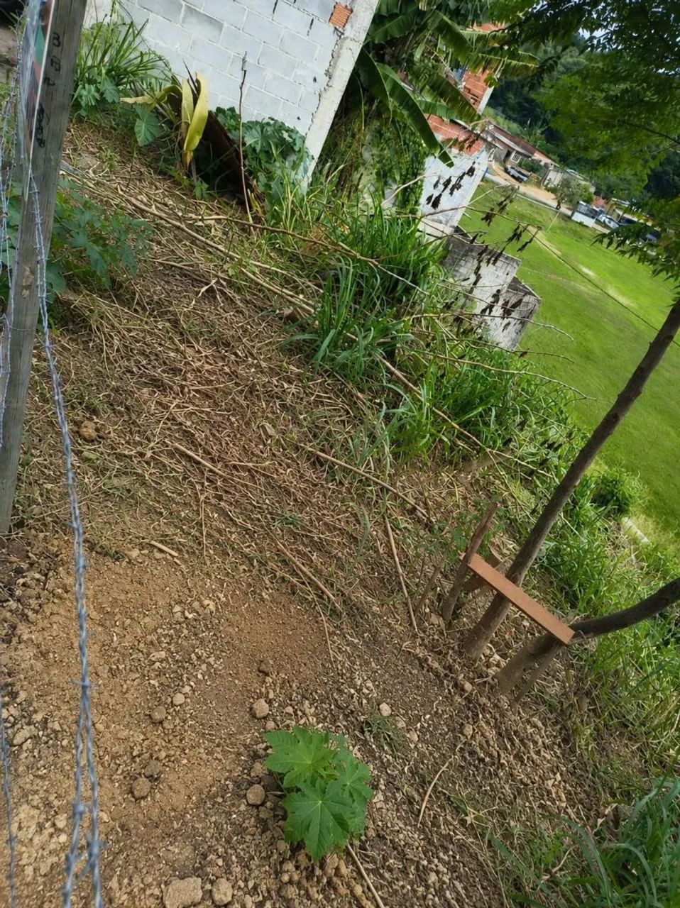 Lote em Marc ílio de Noronha  - Foto 2
