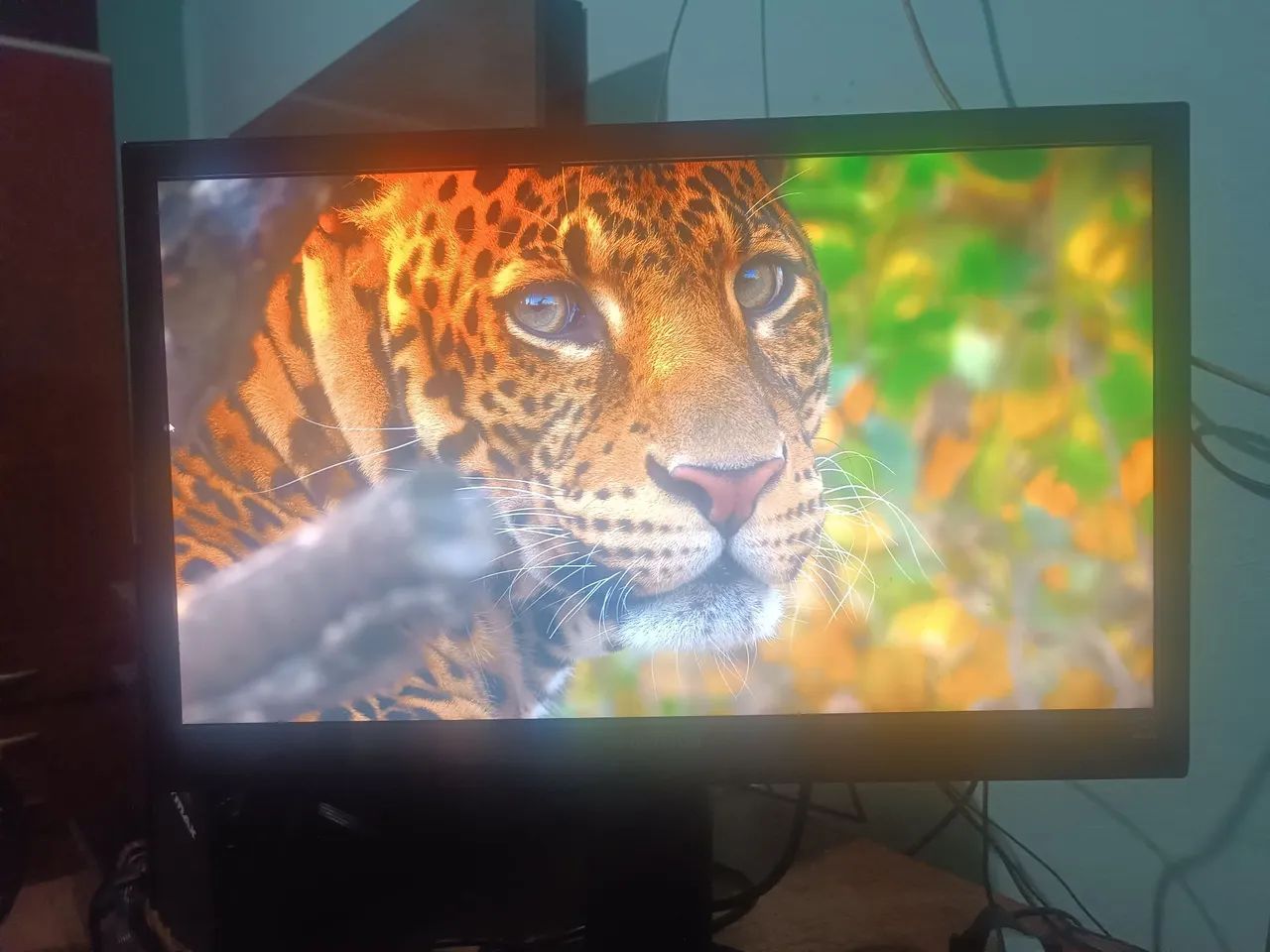 Monitor 22° FullHD