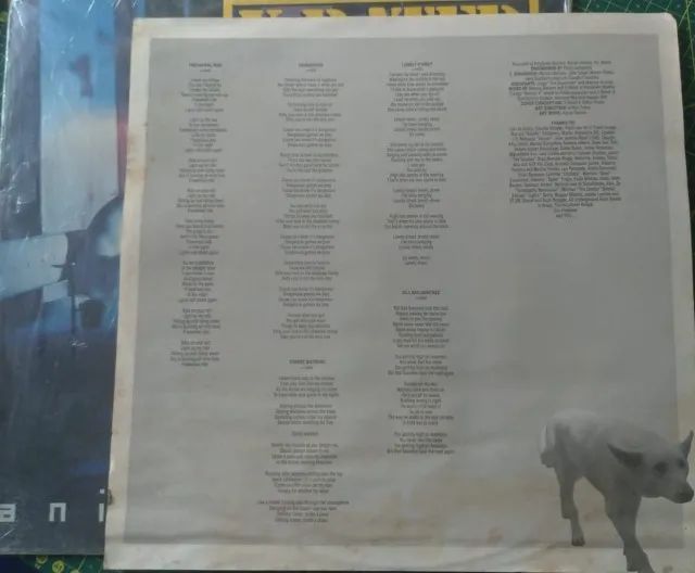 Disco de vinil  X-rated - Foto 5
