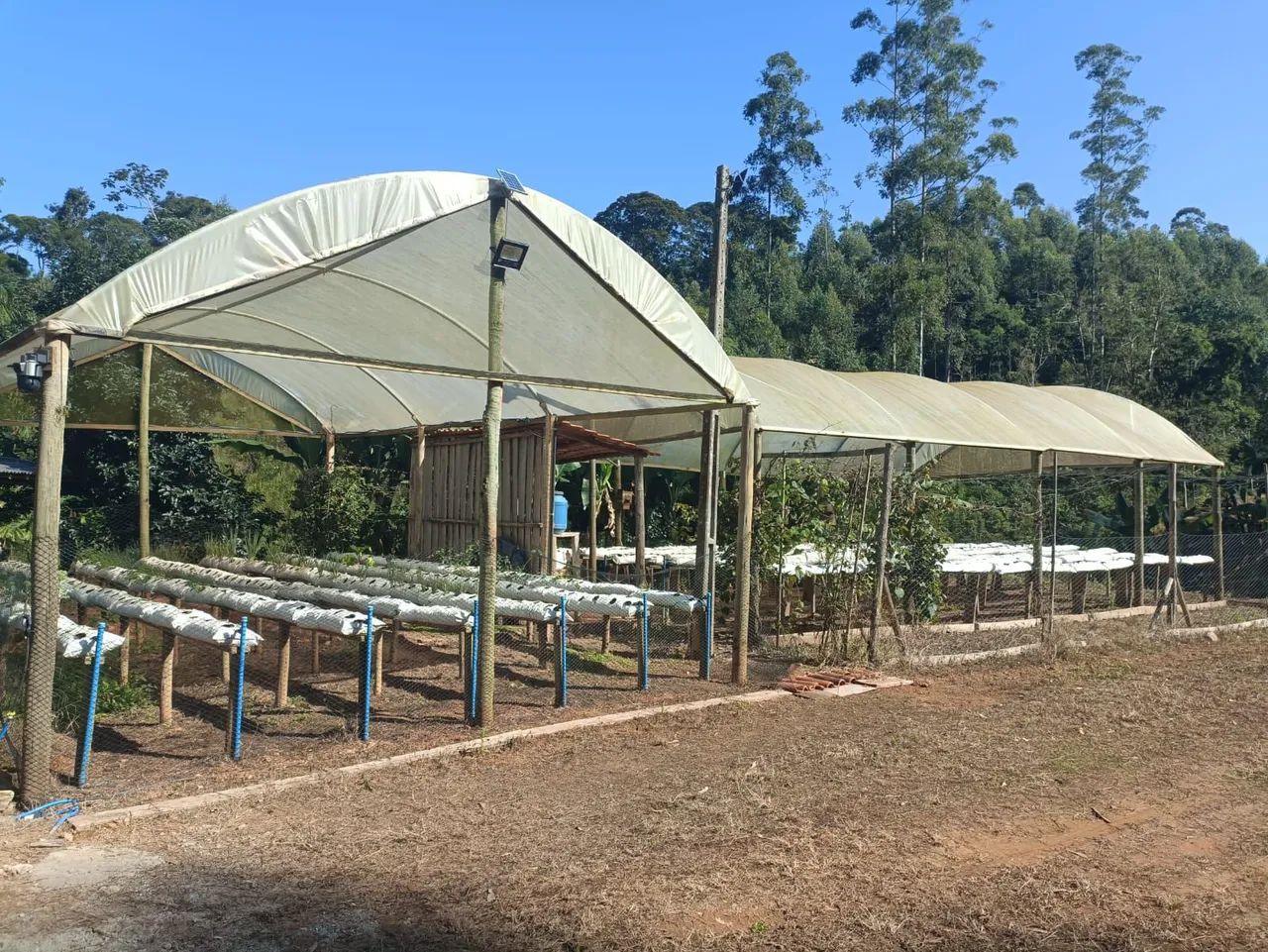 LINDO SITIO COM 6,19 ALQUEIRES EM CONCEIÇÃO DO CASTELO ES. - Foto 4