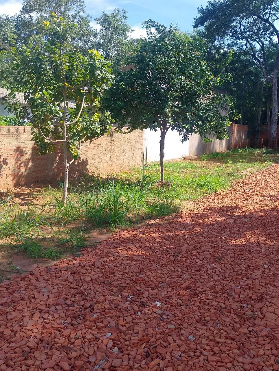 Chácara ótima localização  - Foto 4