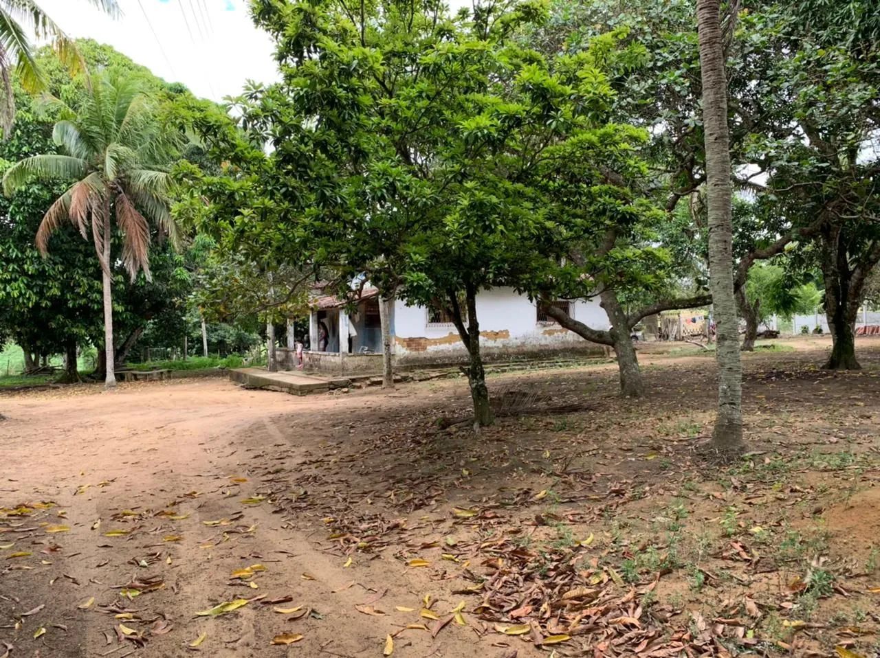 Sítio Rural à venda, Centro, Alhandra - . - Foto 3