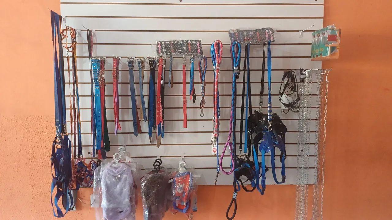  Vendo Dispenser e Paiel. - Foto 2