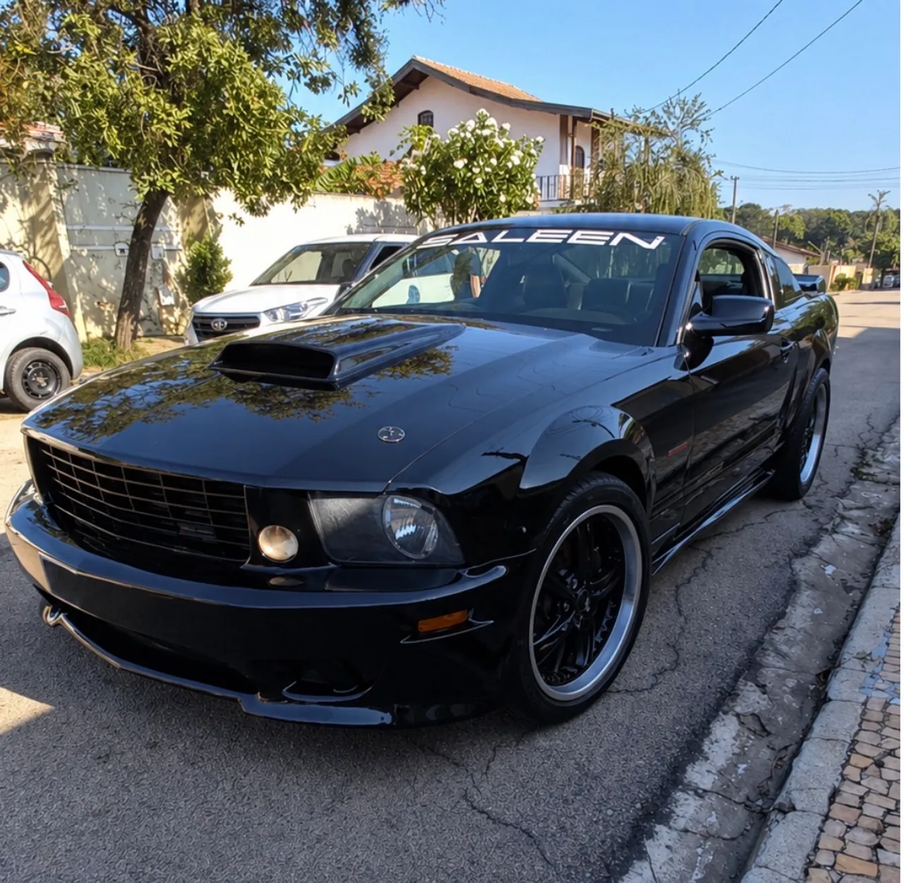 Ford Mustang 2006 Usados e Novos