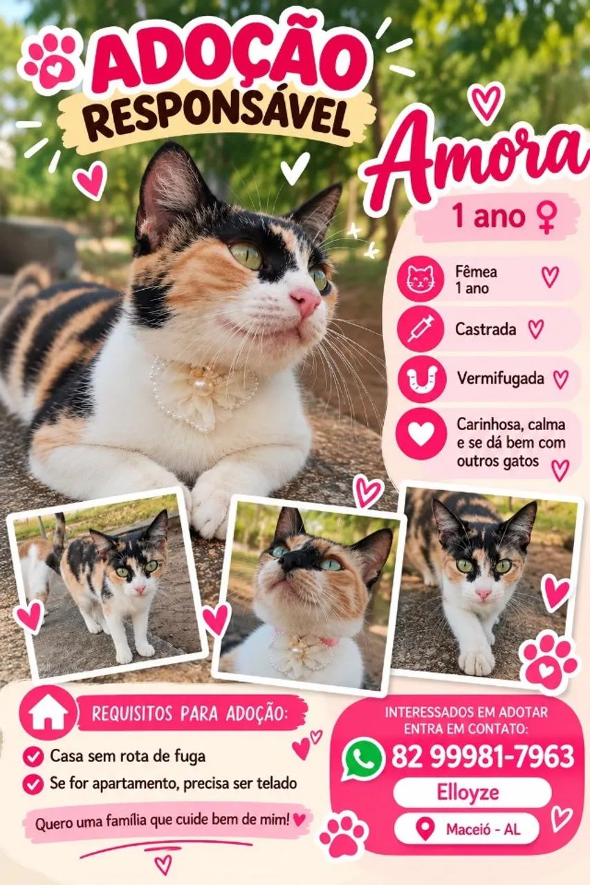 Animal 