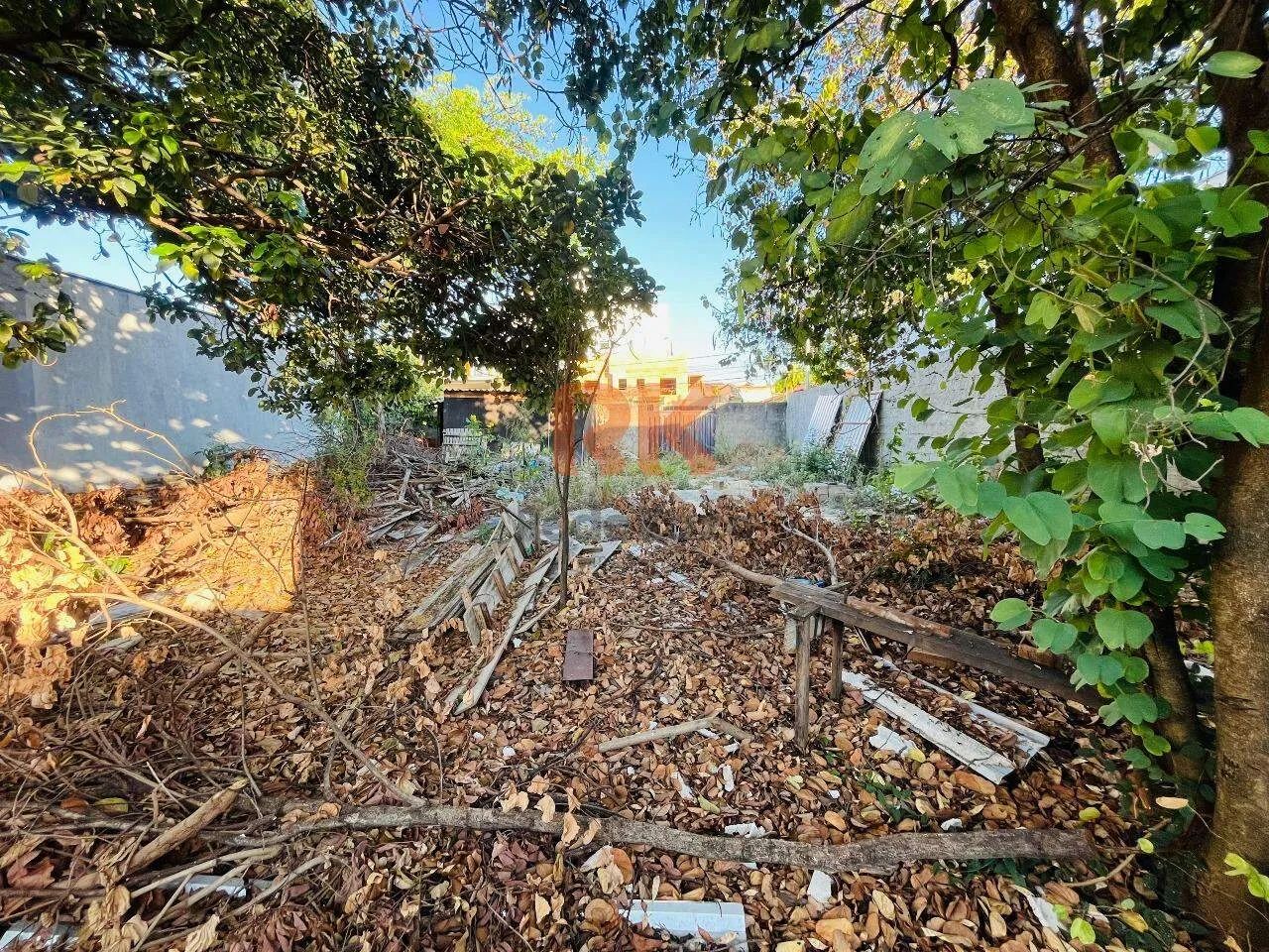 Excelente oportunidade no bairro Planalto! - Foto 3