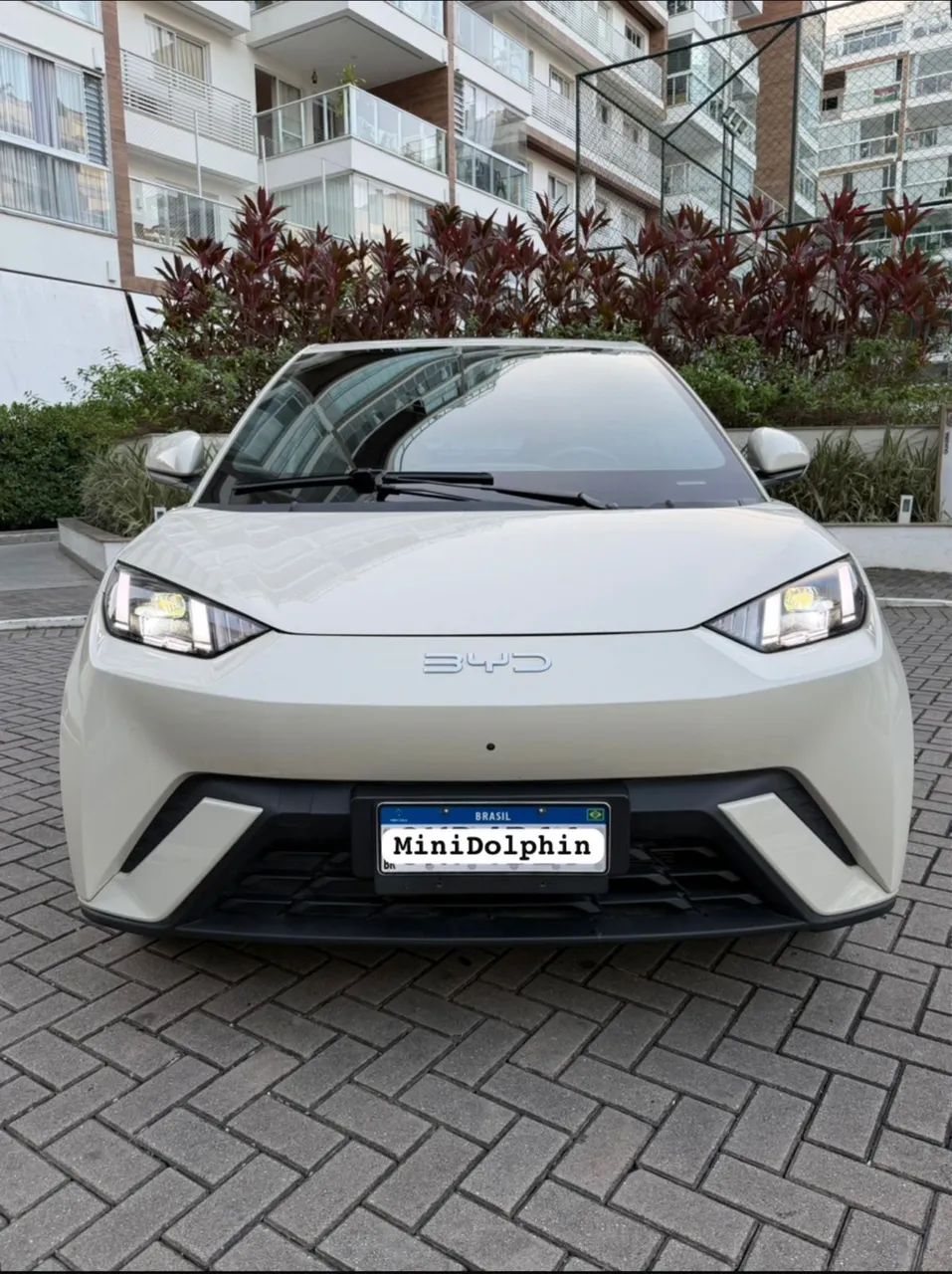 BYD Dolphin Dolphin Mini (Elétrico) 2025