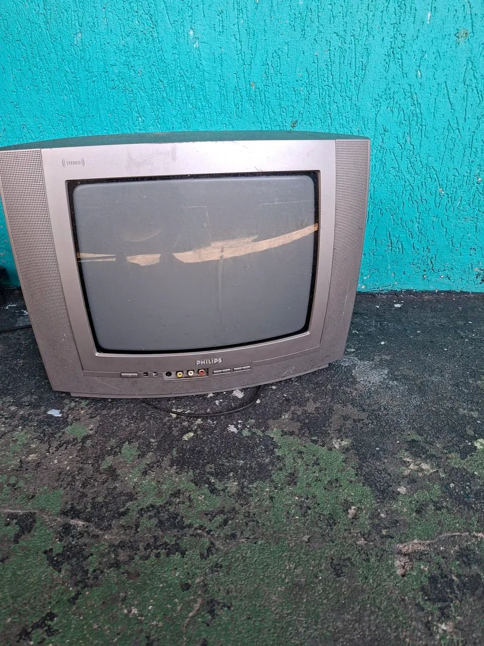 TV 24p
