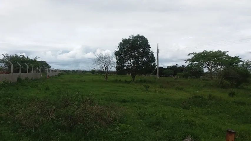 Foto - Campina Grande - Bodocongó