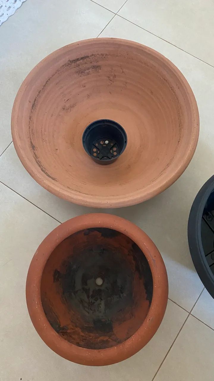Vasos de Plantas 