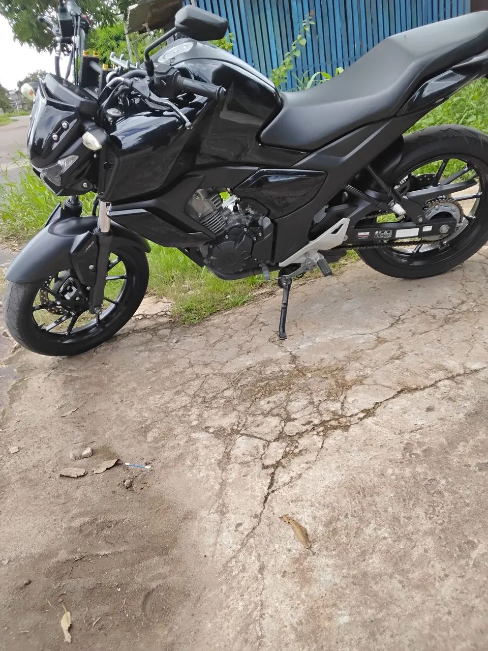 Fz15 2024 