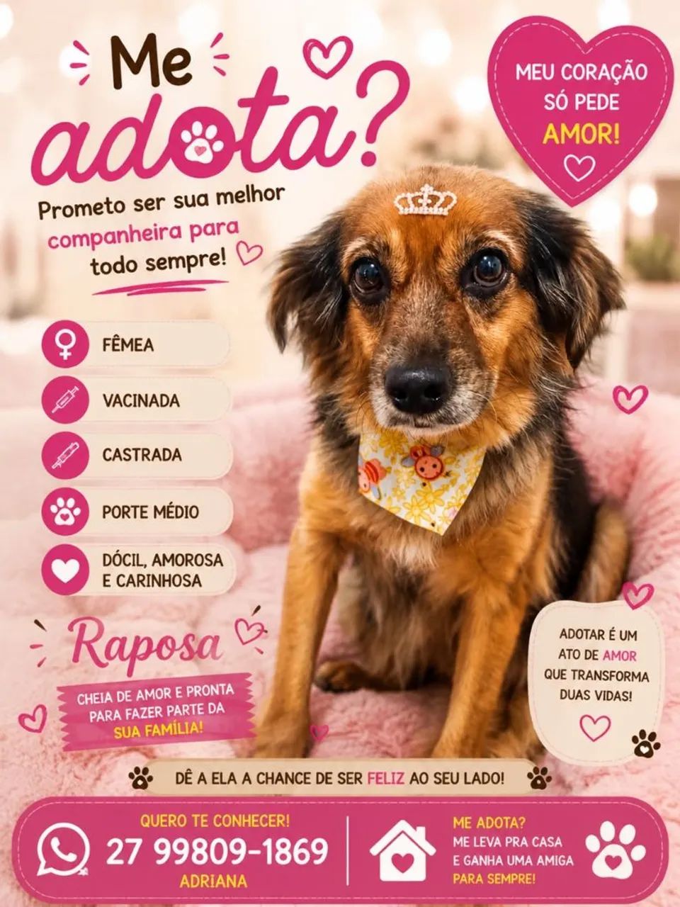 Cachorro ? pra adoção 