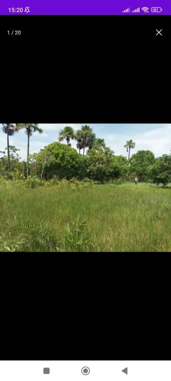Vende chácara no município de Dóis irmão do Tocantins  - Foto 3