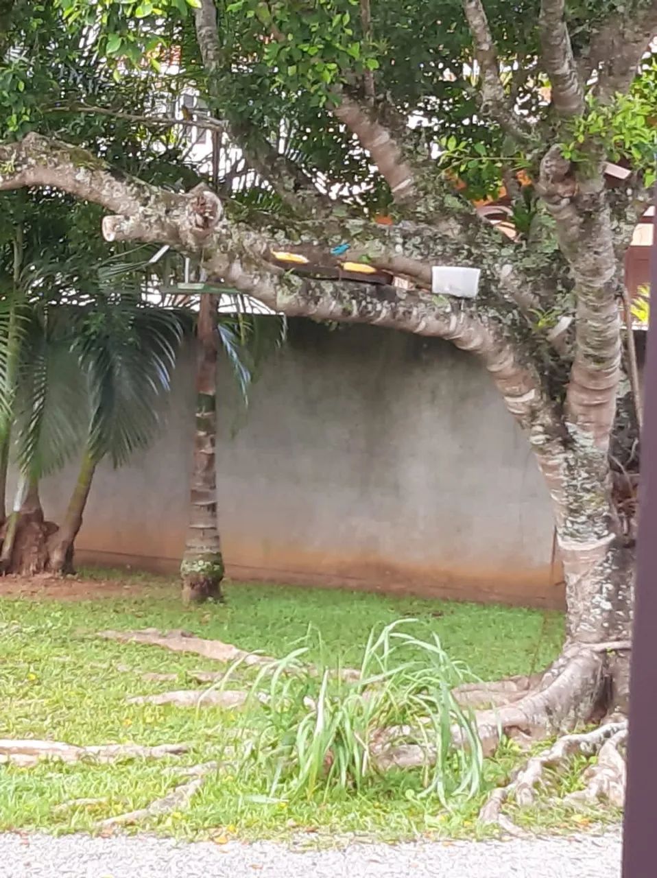 Casa guarda do Embau  - Foto 2