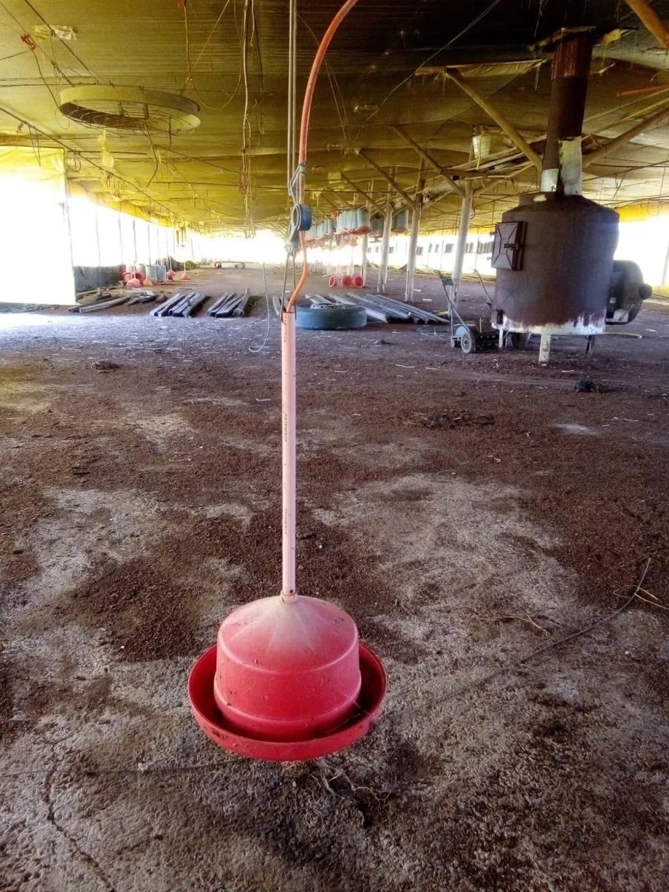 Telhas Eternit - Foto 4