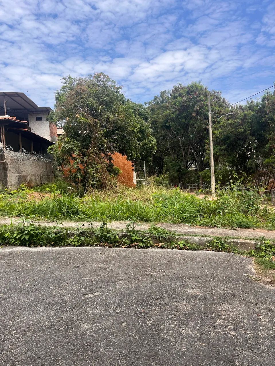 Lote no campo alegre - Foto 2
