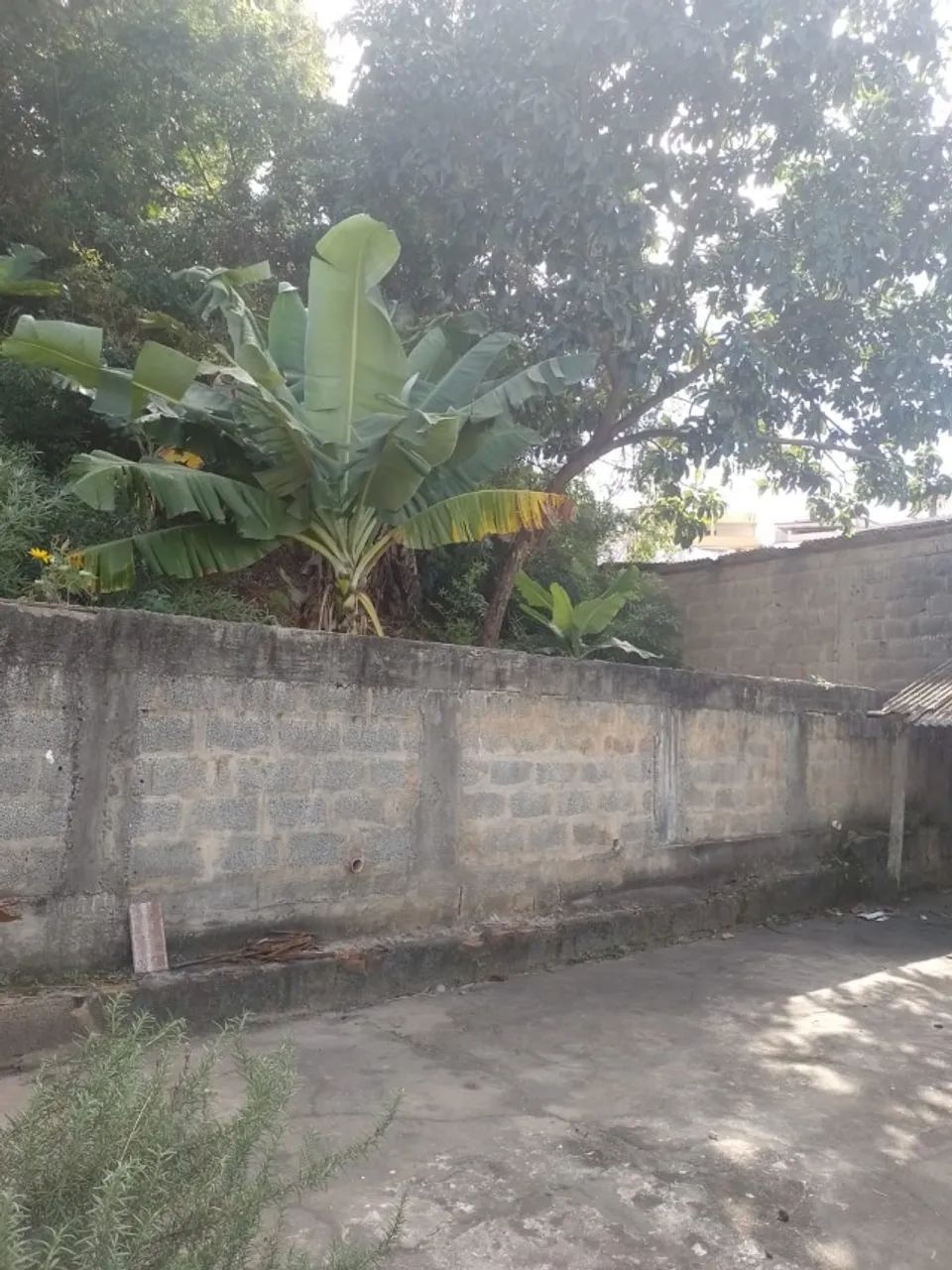 Vende-se imóvrel 2 Residências + comércio - Foto 3