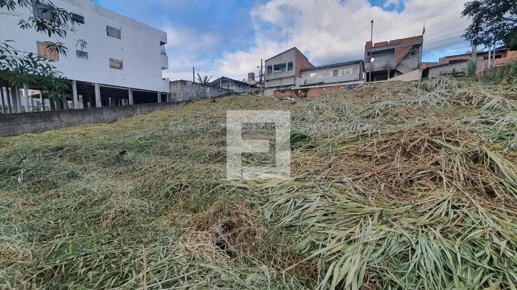 Terreno / Lote / Condomínio em Serraria - São José, SC - Foto 2