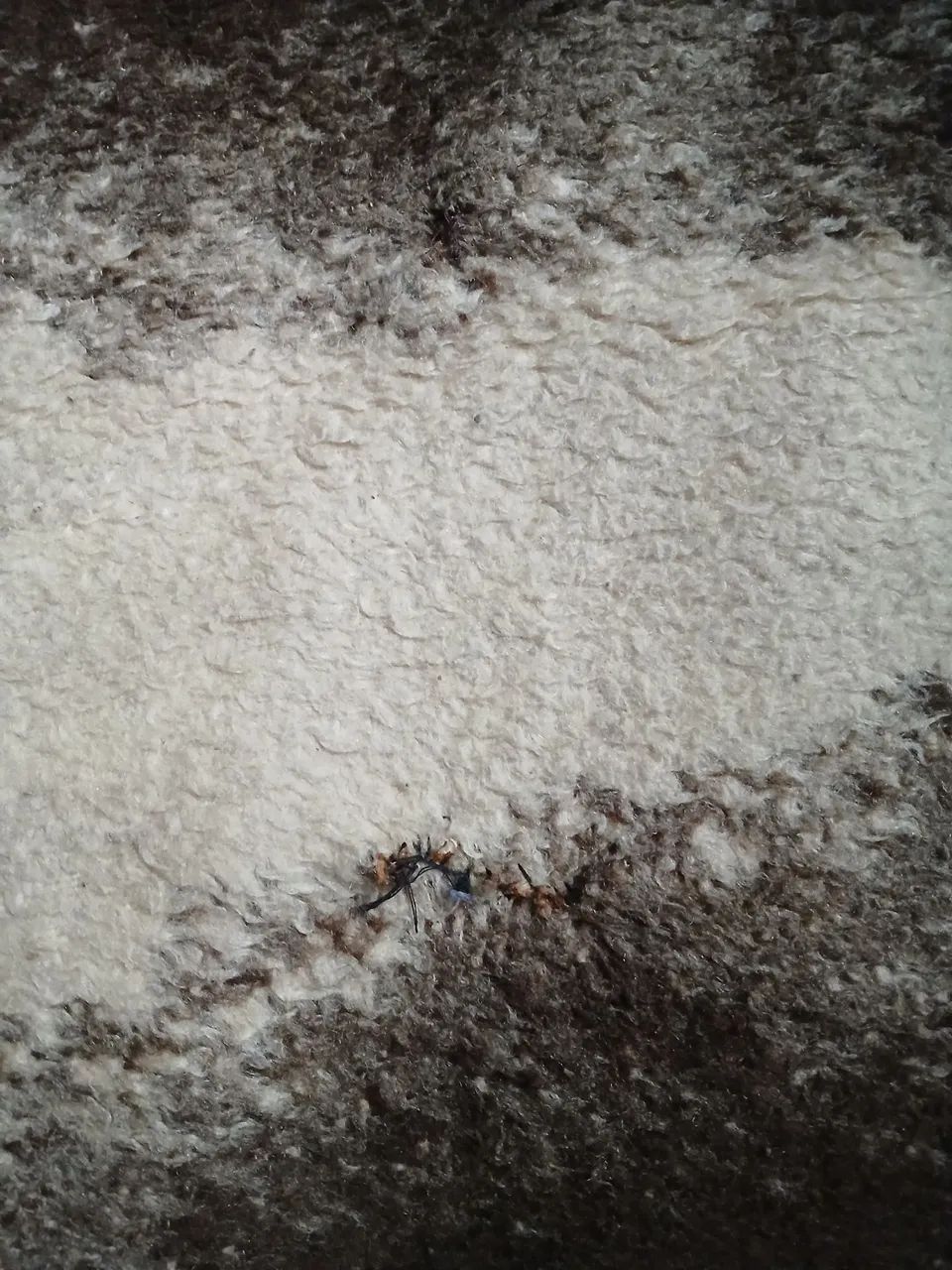 Kit de 2 peça  - Foto 3