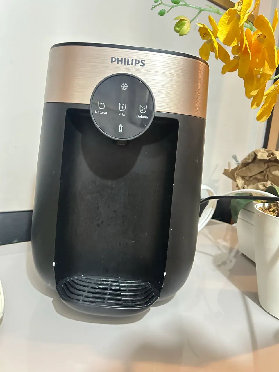 Bebedouro Philips