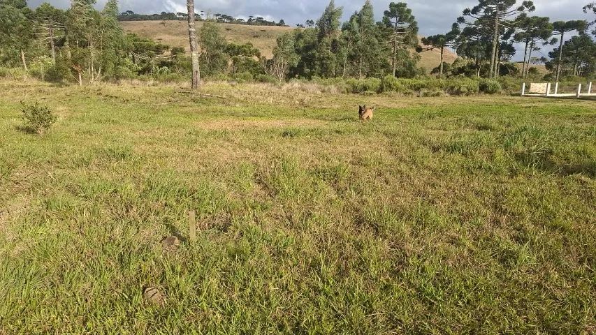 Terreno em Urupema  - Foto 2
