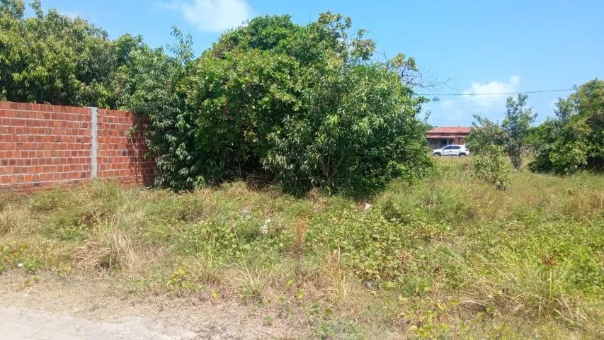Terreno em Lucena 10X40 (83)  - Foto 2
