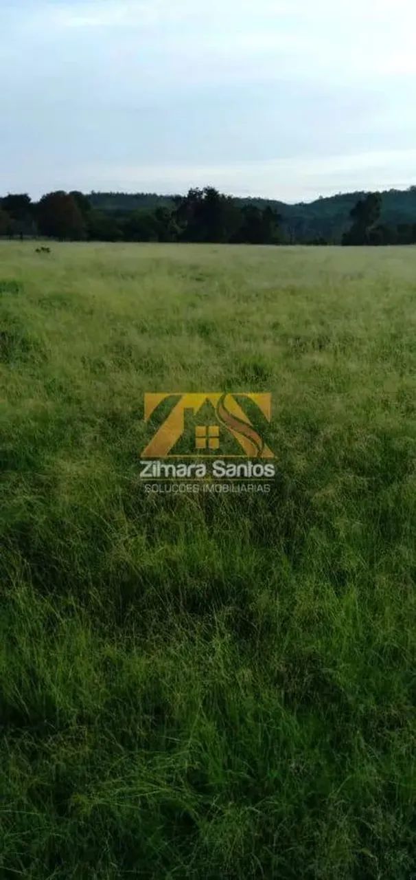 Fazenda com 53,5 Alqueires - Zona Rural - Aparecida do Rio Negro/TO - Foto 9