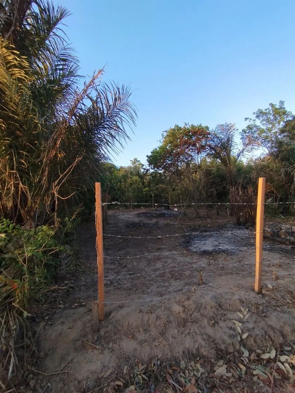 LOTE NO MAIOBÃO  - Foto 2