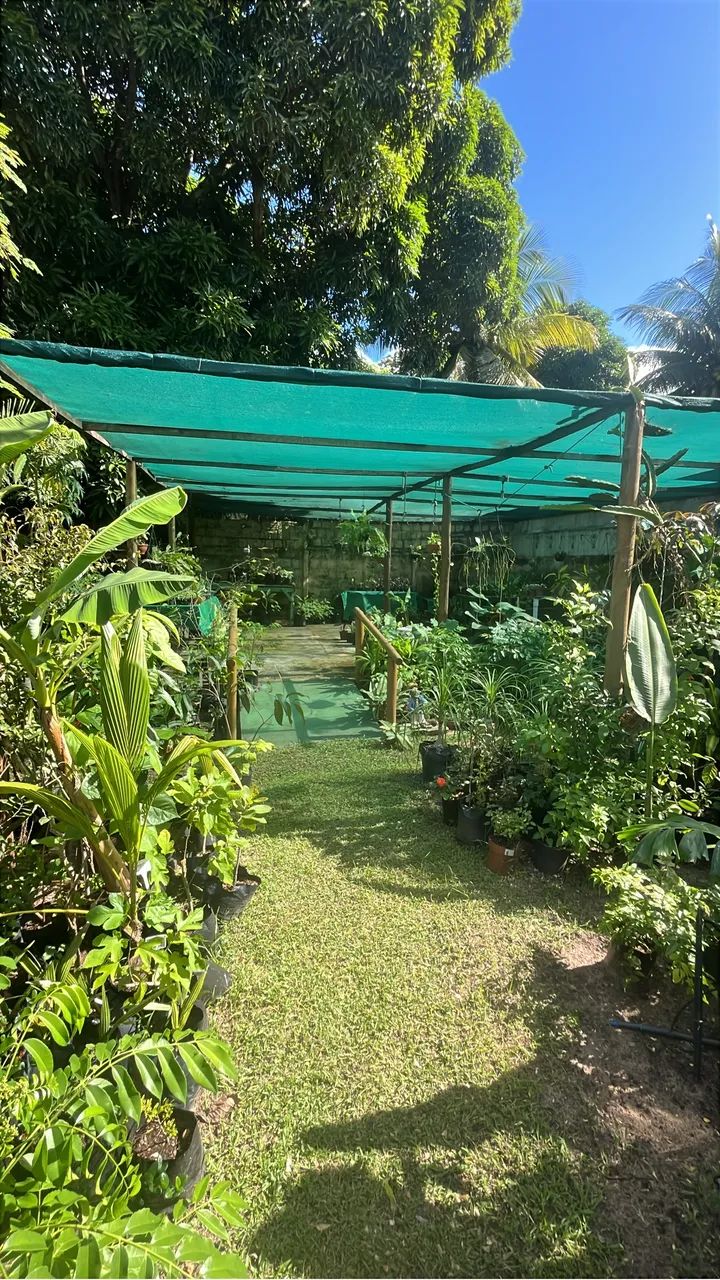 Repasse Loja de Plantas