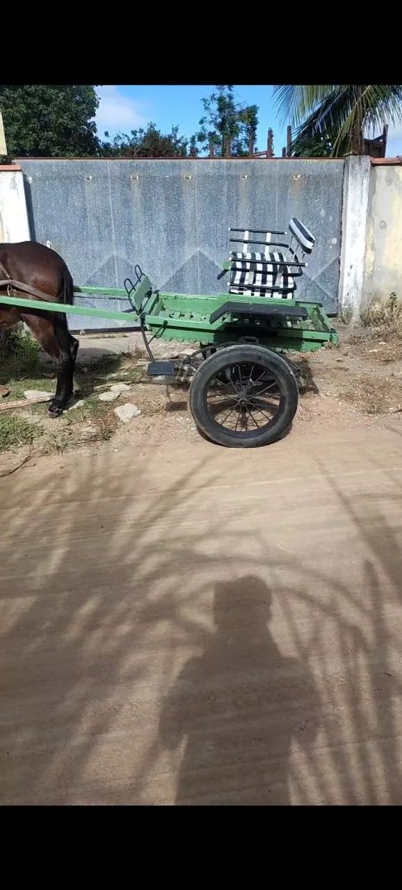 Charrete em perfeito estado - Foto 3