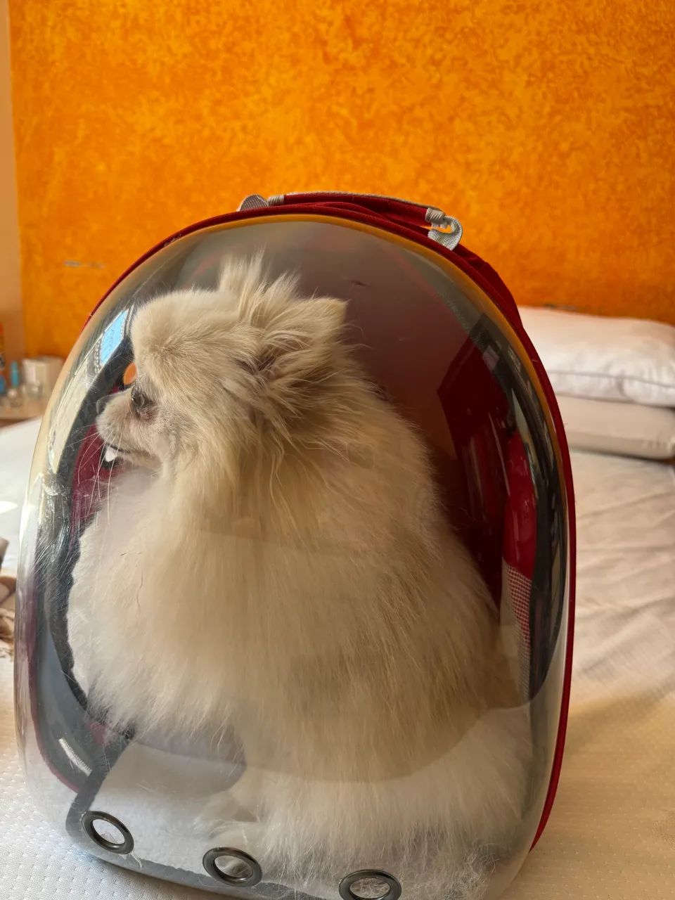Mochila Pet Astronauta - Foto 3
