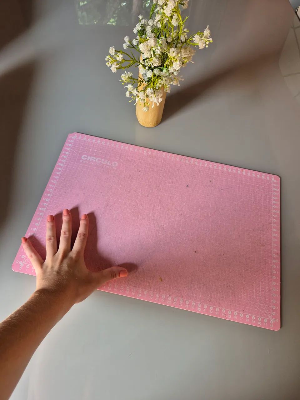 Base de corte - Foto 4