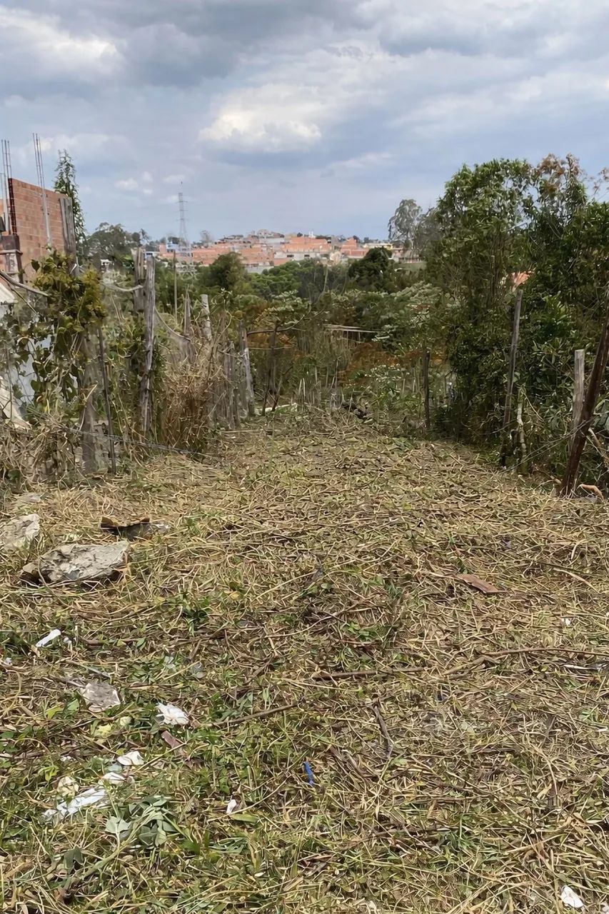 Foto - São Paulo - Jardim Noronha