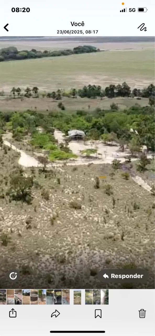 Vendo sítio 16 km de Boa Vista  - Foto 4