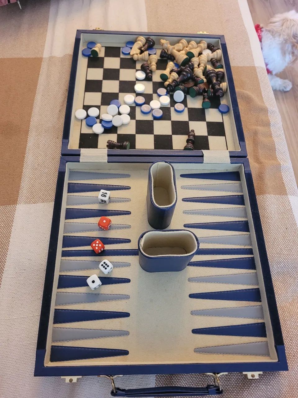 Jogo de Xadrez e Gamão