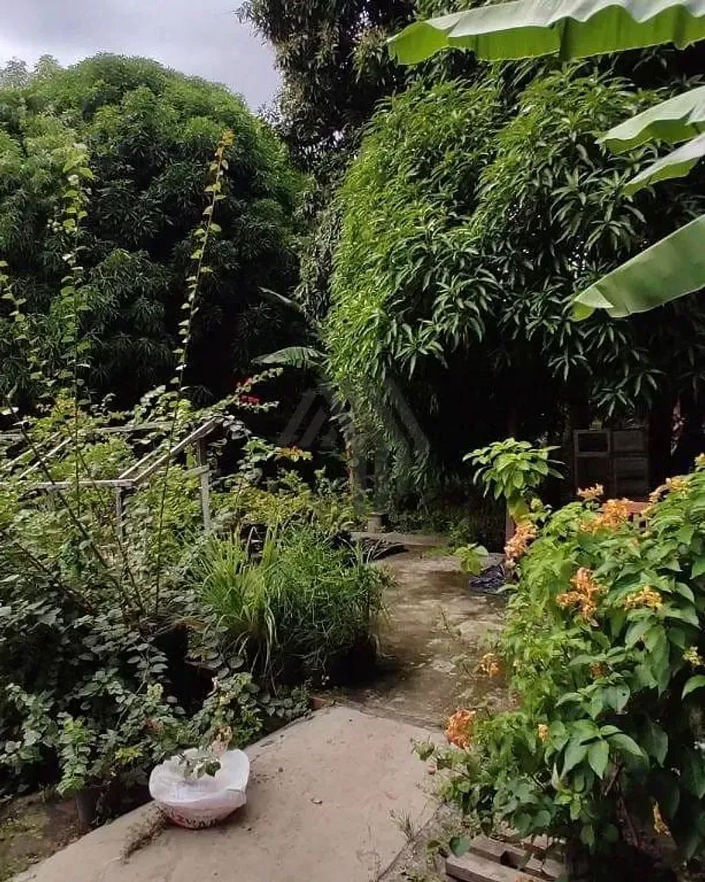 Terreno para locação plano, seco e totalmente murado, com aproximadamente 700 m²- Umarizal - Foto 2